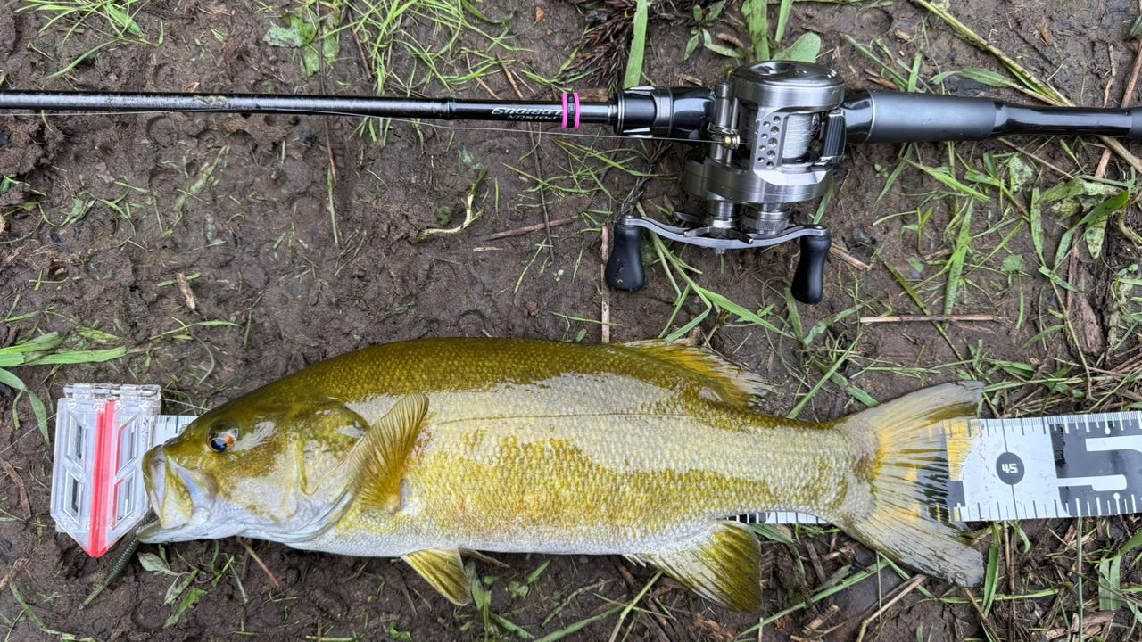 スモールマウスバス