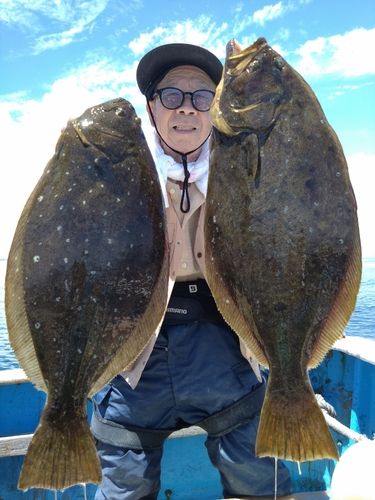 ヒラメの釣果