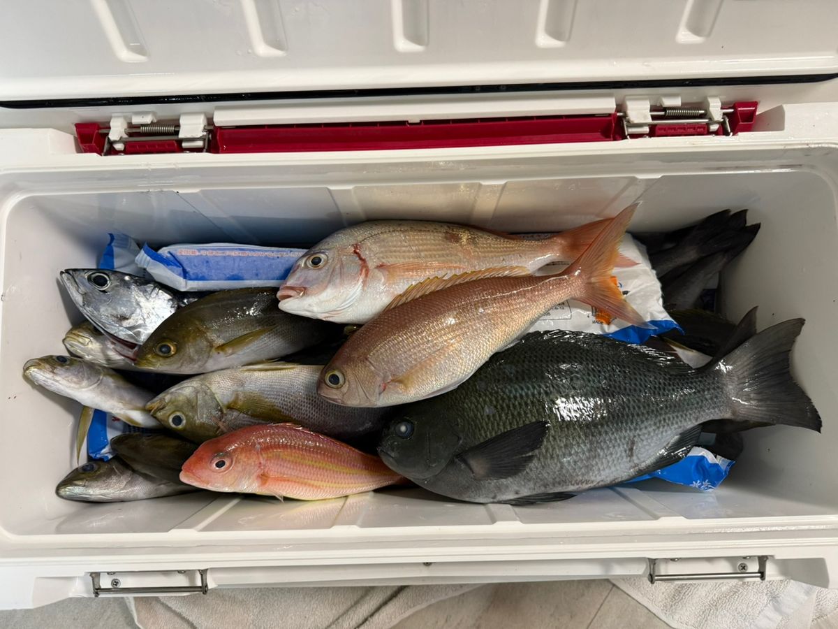釣果より飛距離さんの釣果 1枚目の画像