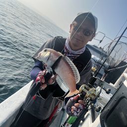 シロアマダイ