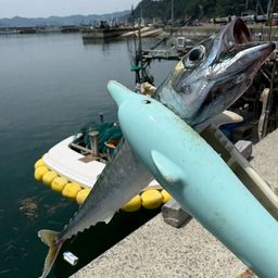 サバ