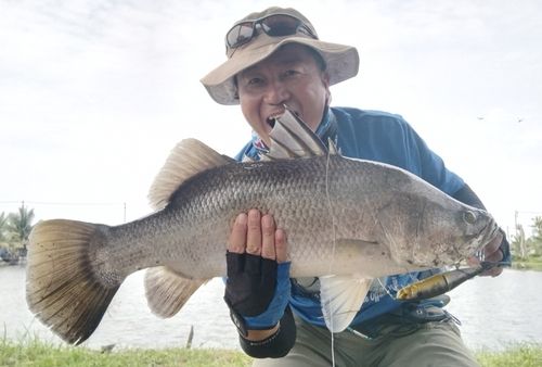 バラマンディの釣果
