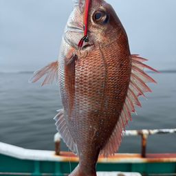 タイ