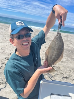 ソゲの釣果