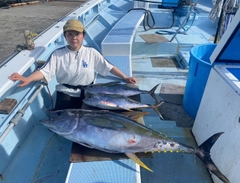 キハダマグロの釣果