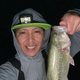 ブラックバス