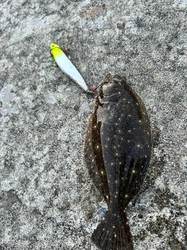 釣果