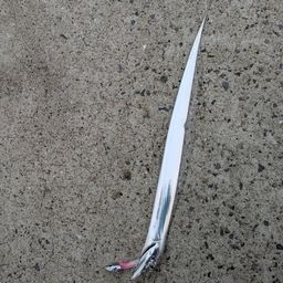タチウオ