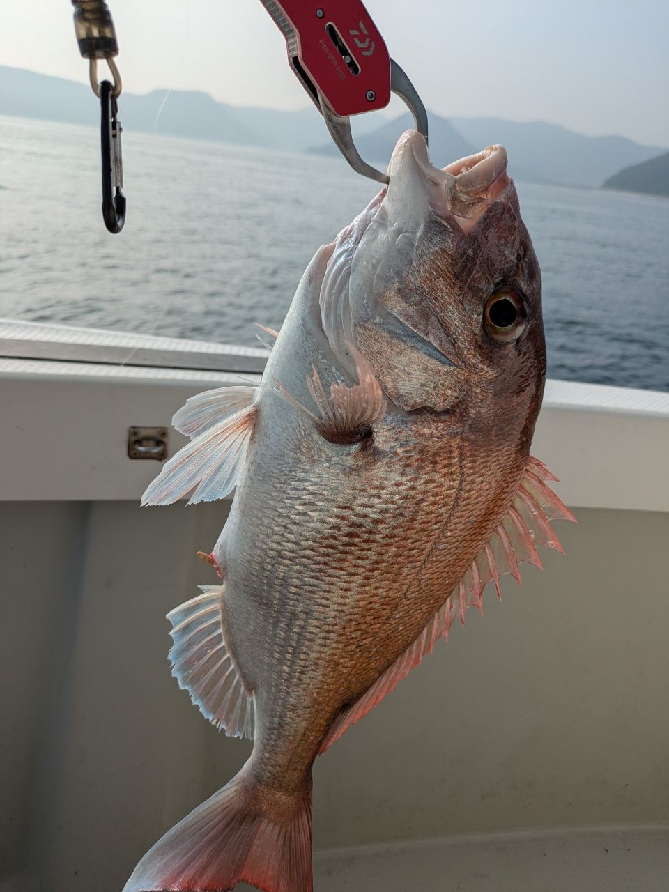 おむすびさんさんの釣果 1枚目の画像
