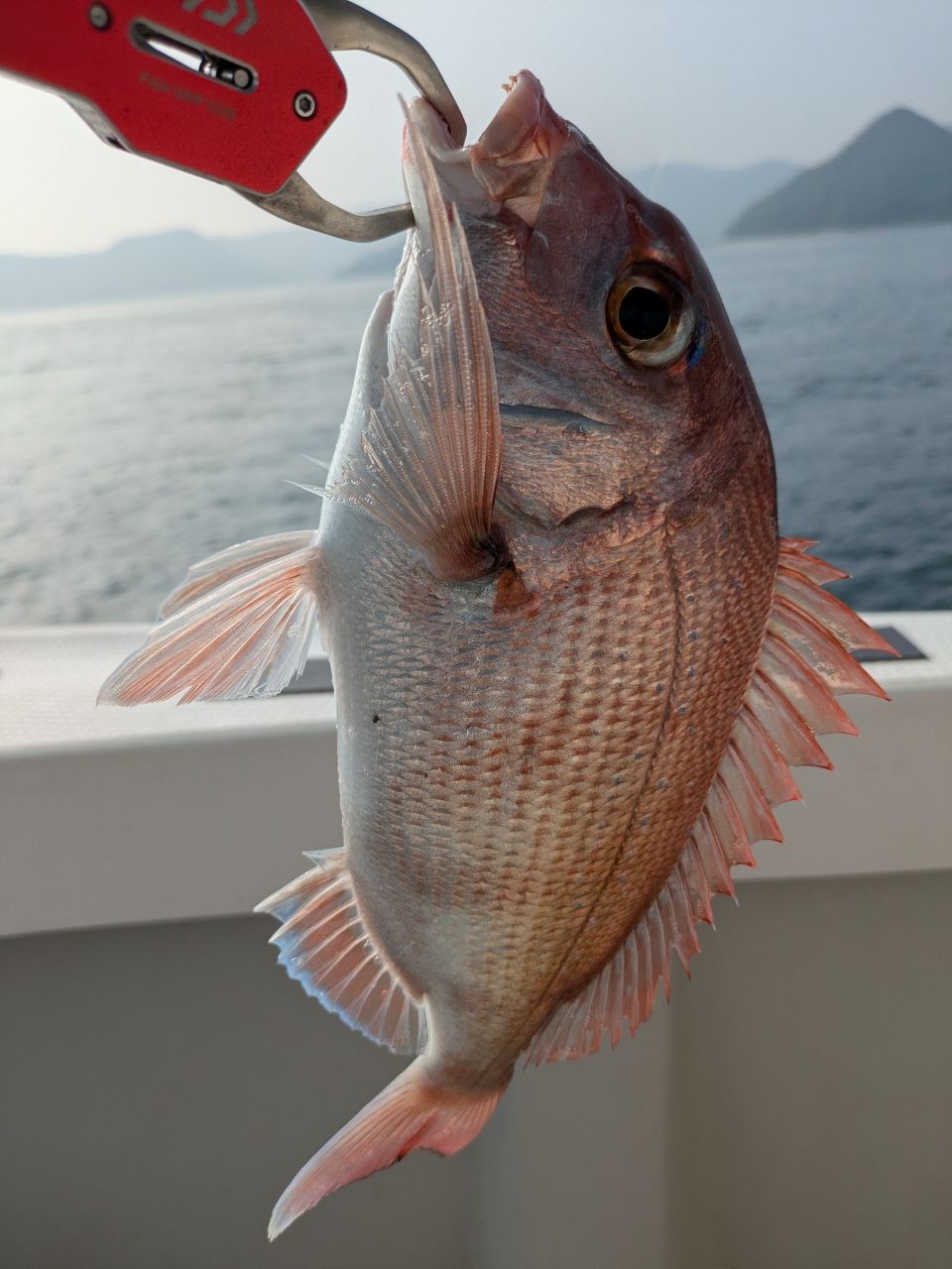 おむすびさんさんの釣果 2枚目の画像