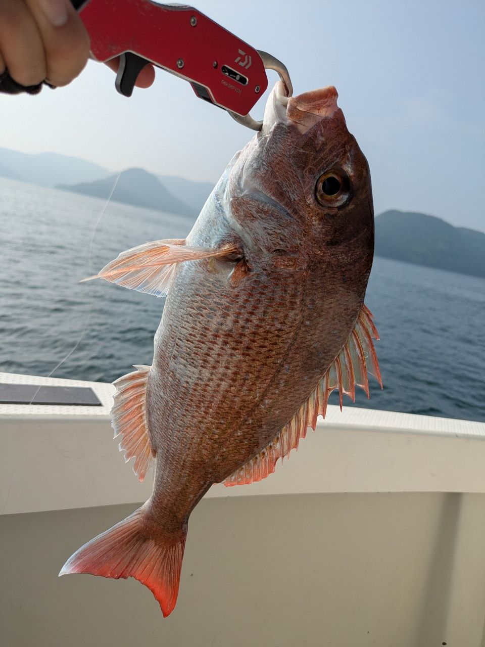 おむすびさんさんの釣果 3枚目の画像