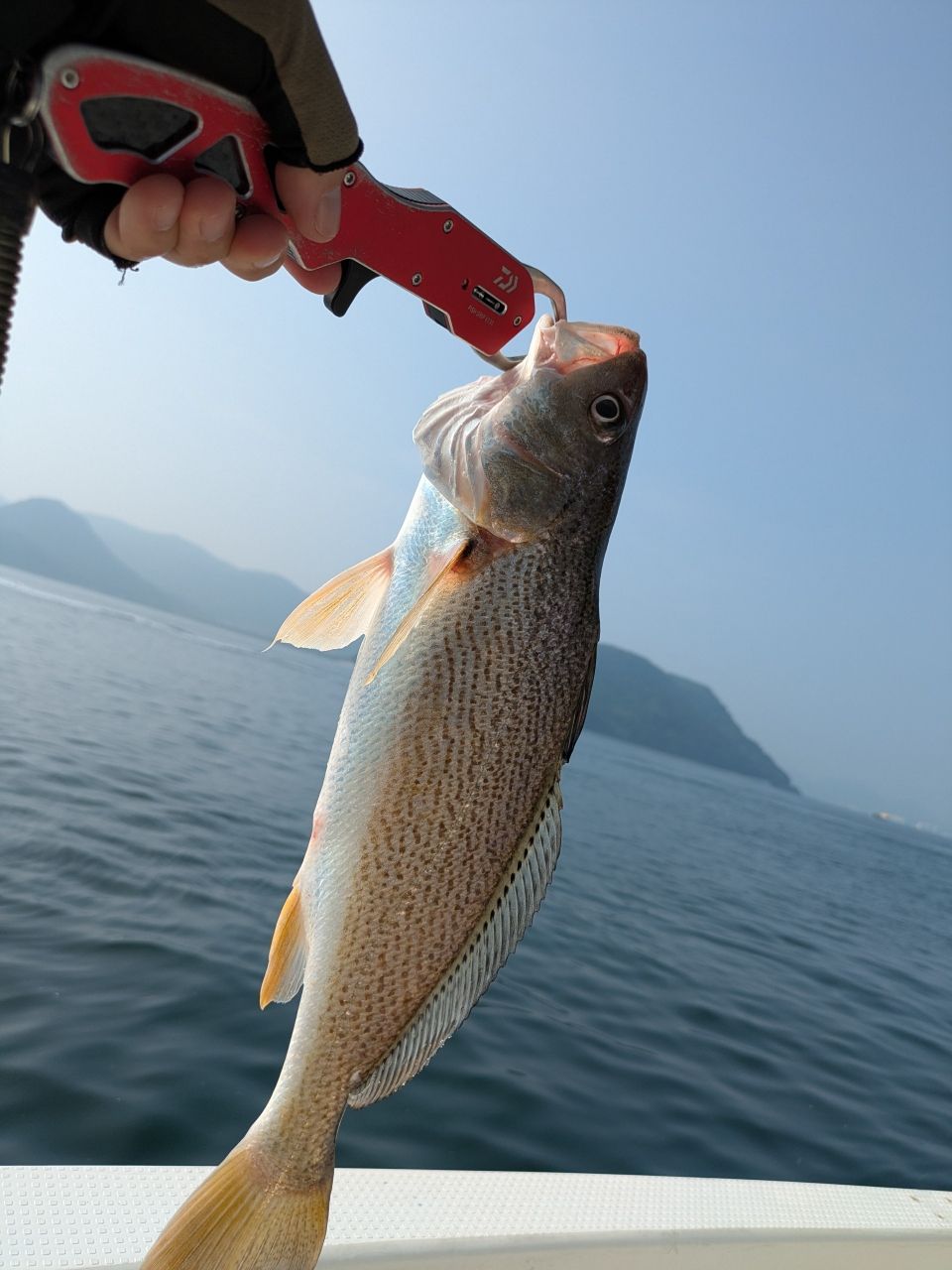 おむすびさんさんの釣果 1枚目の画像