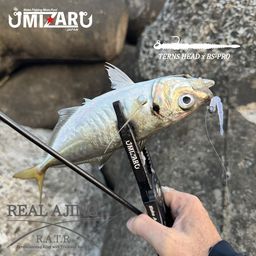 アジ