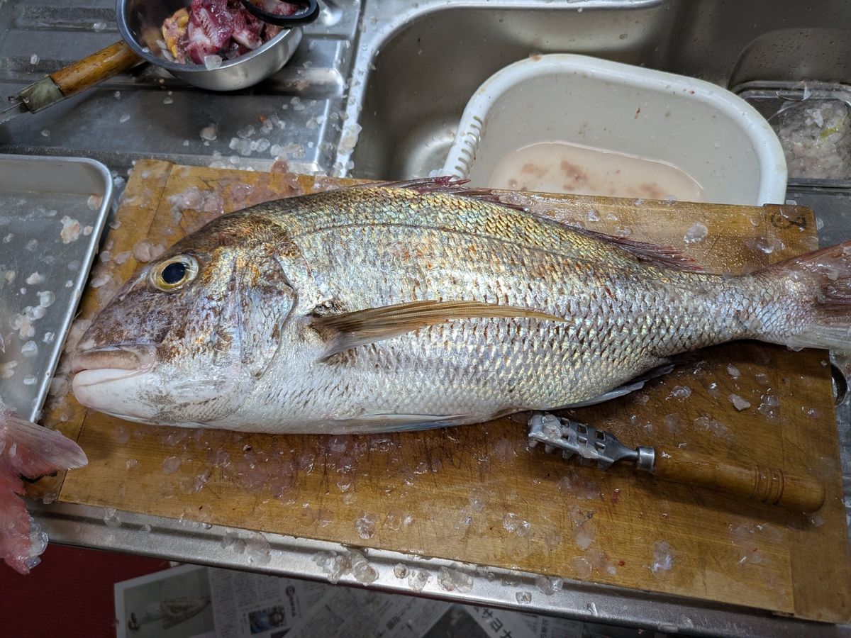 おむすびさんさんの釣果 2枚目の画像