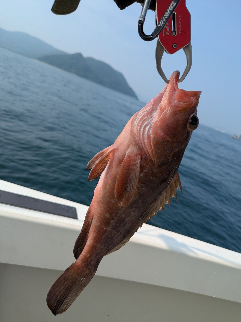 おむすびさんさんの釣果 2枚目の画像