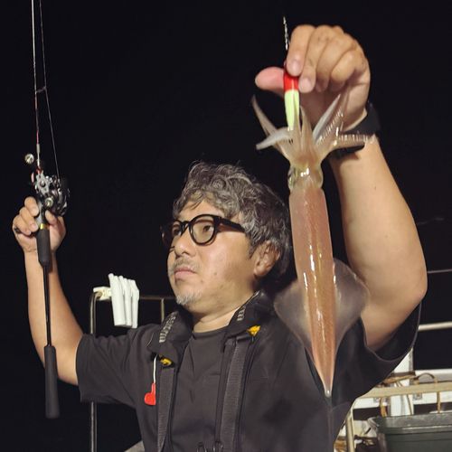 ケンサキイカの釣果