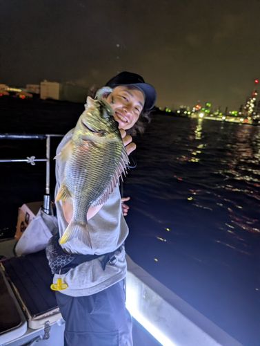 キビレの釣果