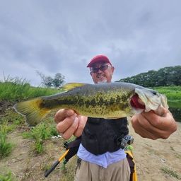 ラージマウスバス