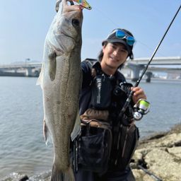 シーバス