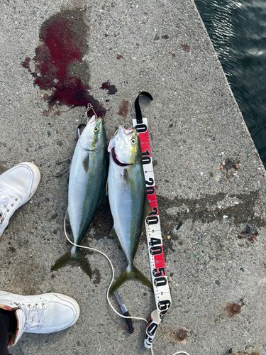 釣果