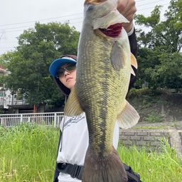 ラージマウスバス