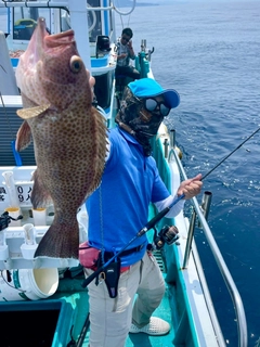 オオモンハタの釣果