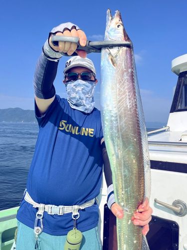 タチウオの釣果