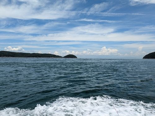 マアジの釣果
