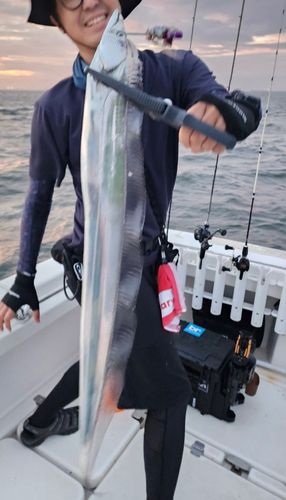 タチウオの釣果