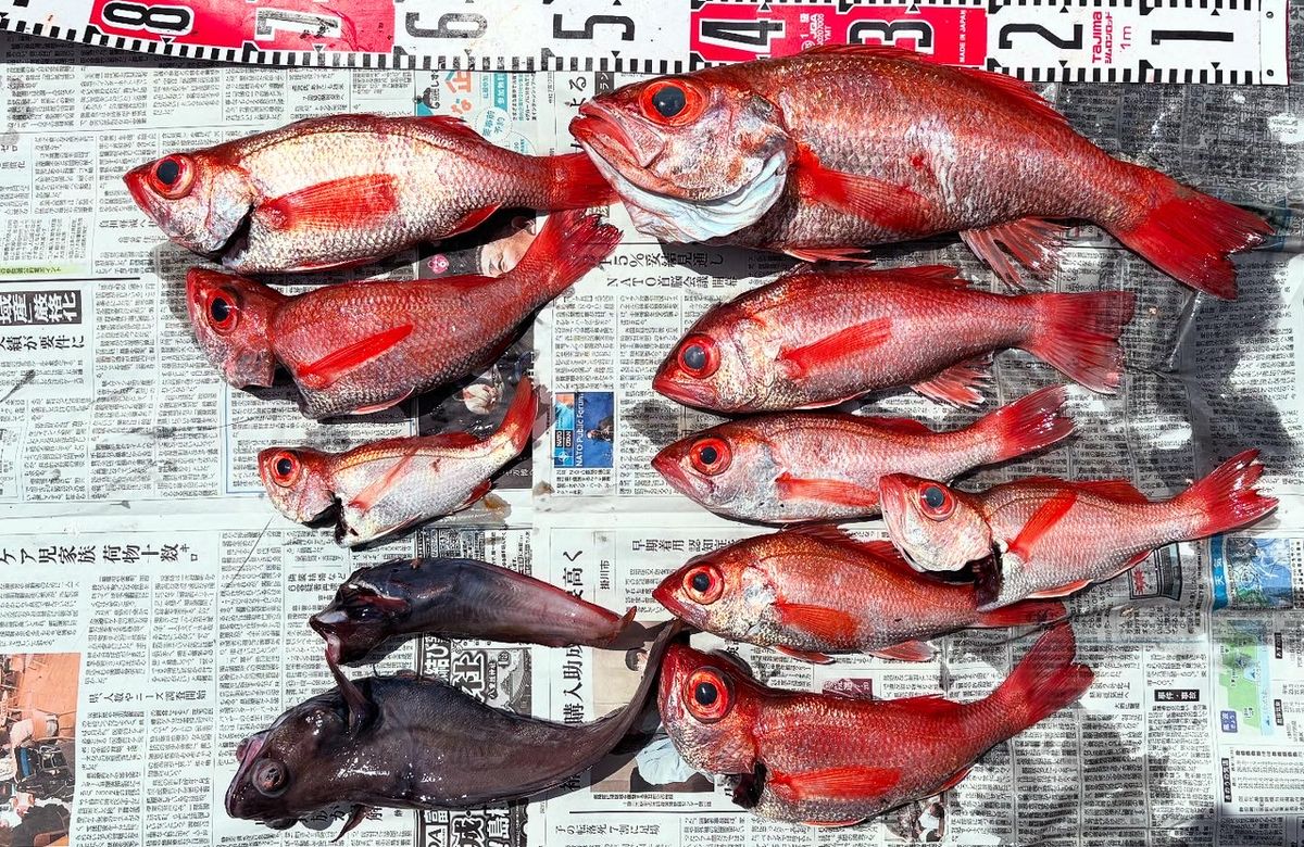 たけちゃんまる　船長さんの釣果 2枚目の画像