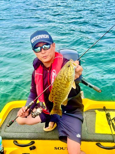スモールマウスバスの釣果
