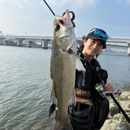 シーバス