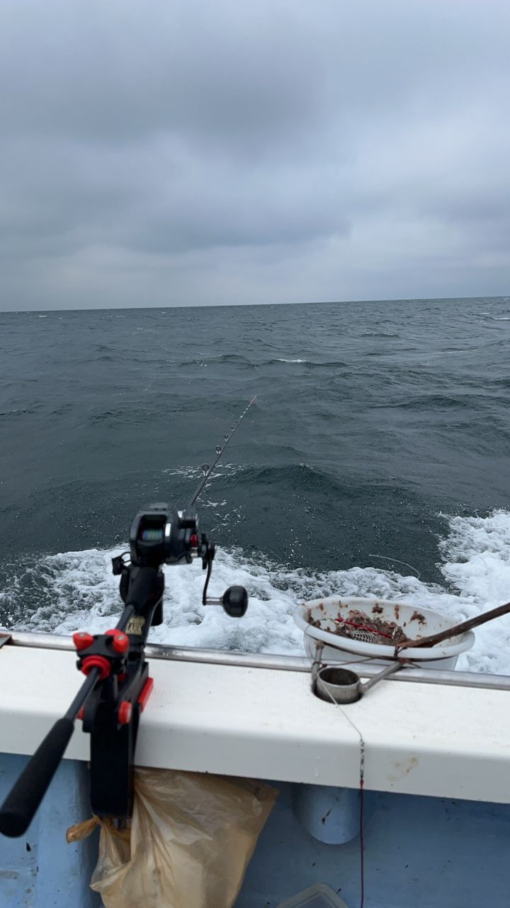 LOST MANさんの釣果 2枚目の画像