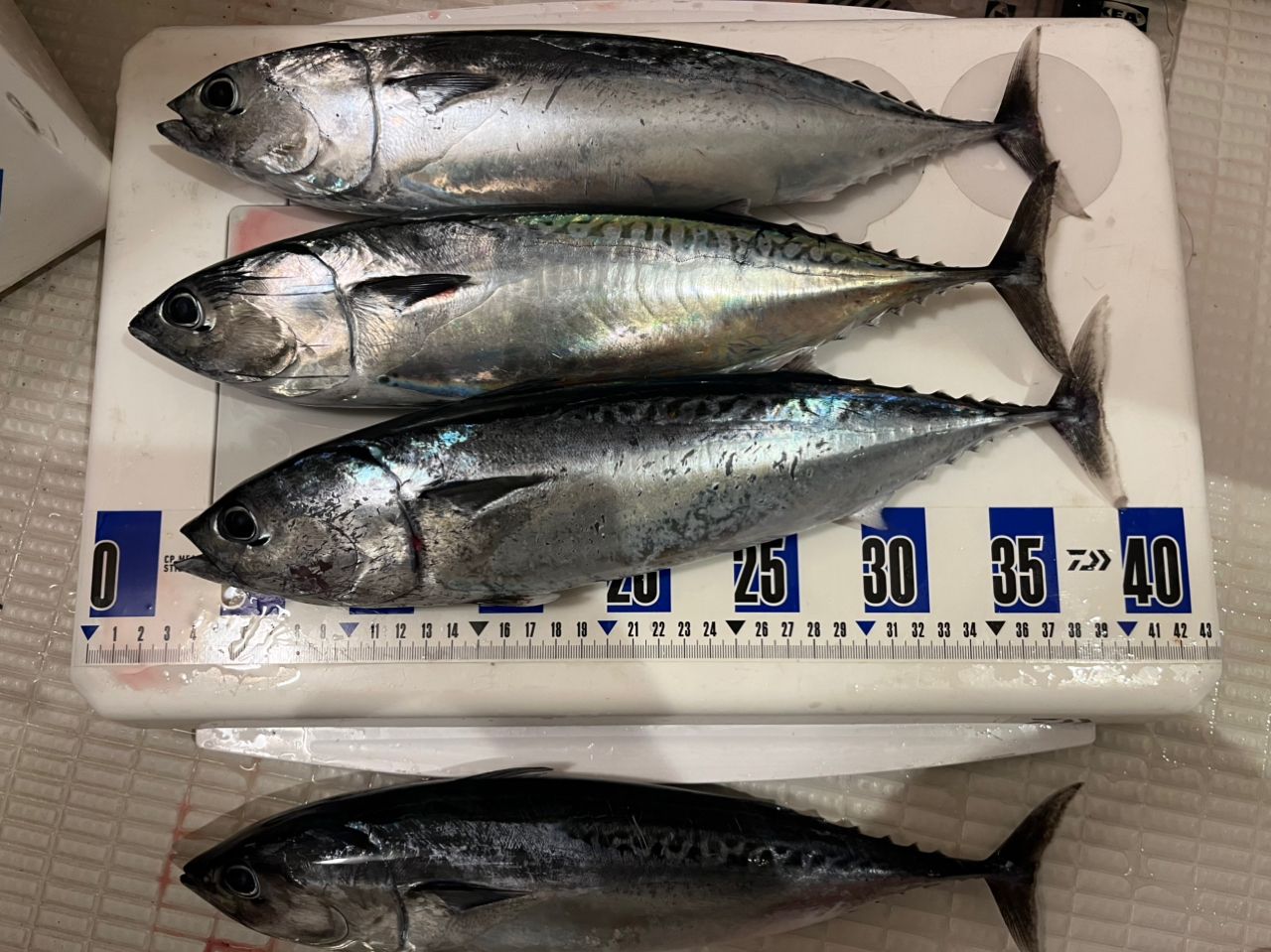 DAIWA 13インターライン リーガル 遠投 3号-52遠投の最安値