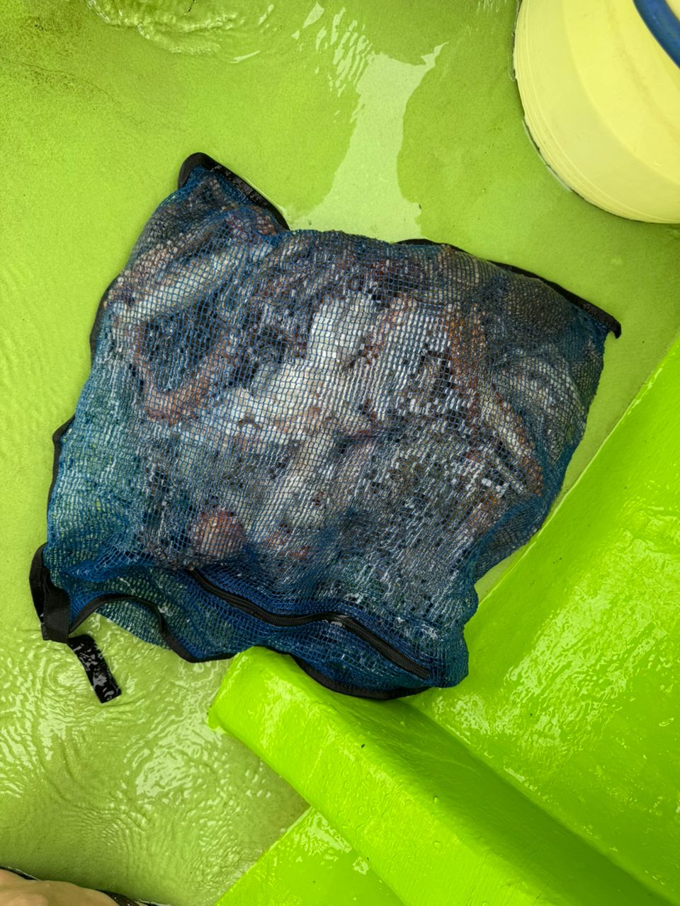 kunchanさんの釣果 2枚目の画像