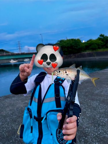 釣り好き会社員J さんの釣り人プロフィール - アングラーズ