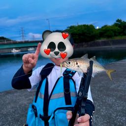 アジ