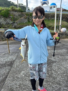 ショゴの釣果