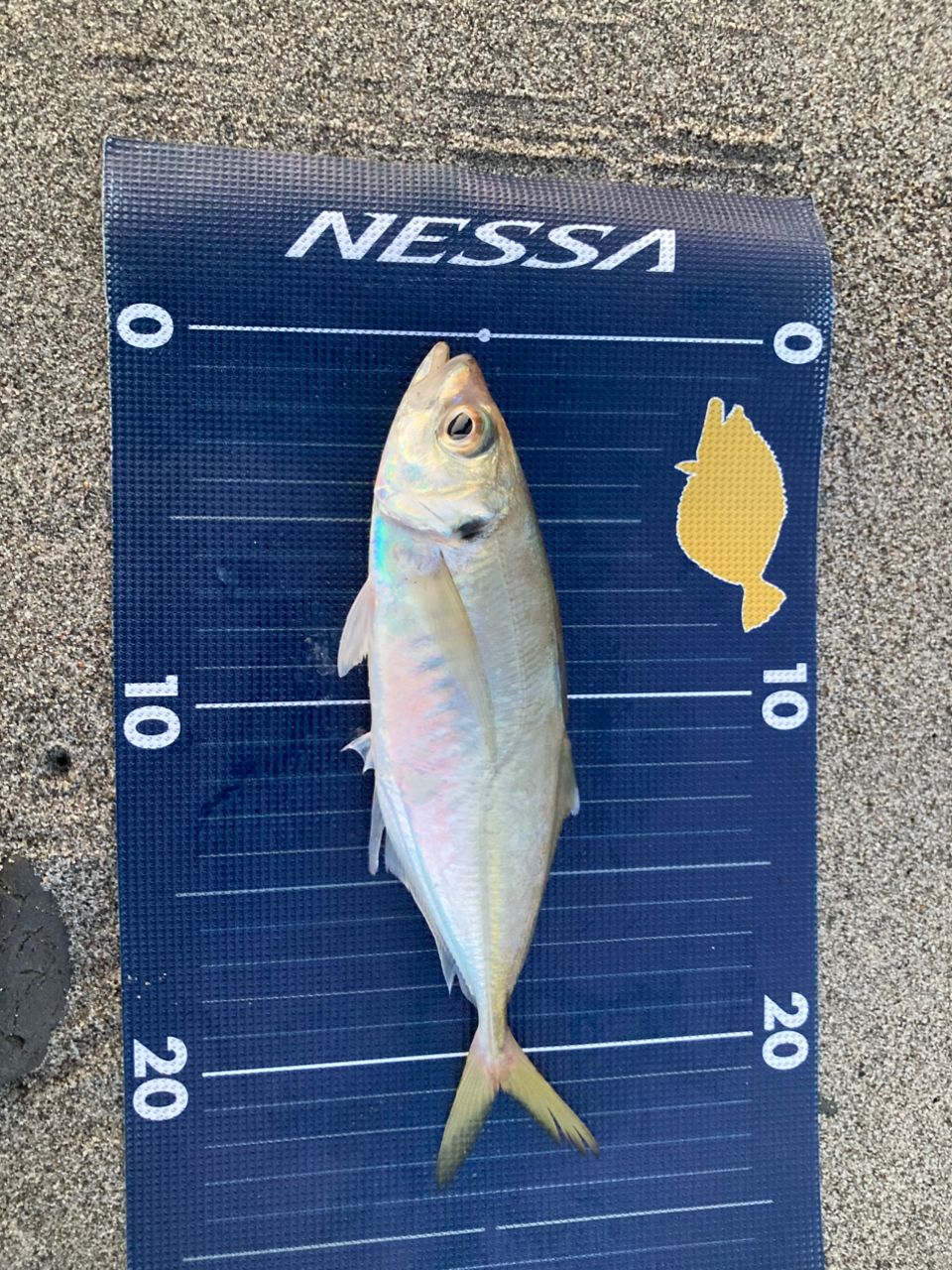 シマノ 熱砂 ネッサXR S110MMH シマノ(SHIMANO) ネッサ XR S110M/MH ネッサ[NESSA] (サーフ