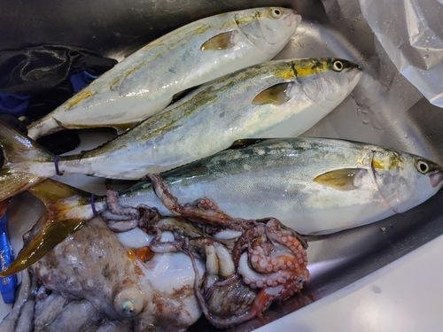 釣果