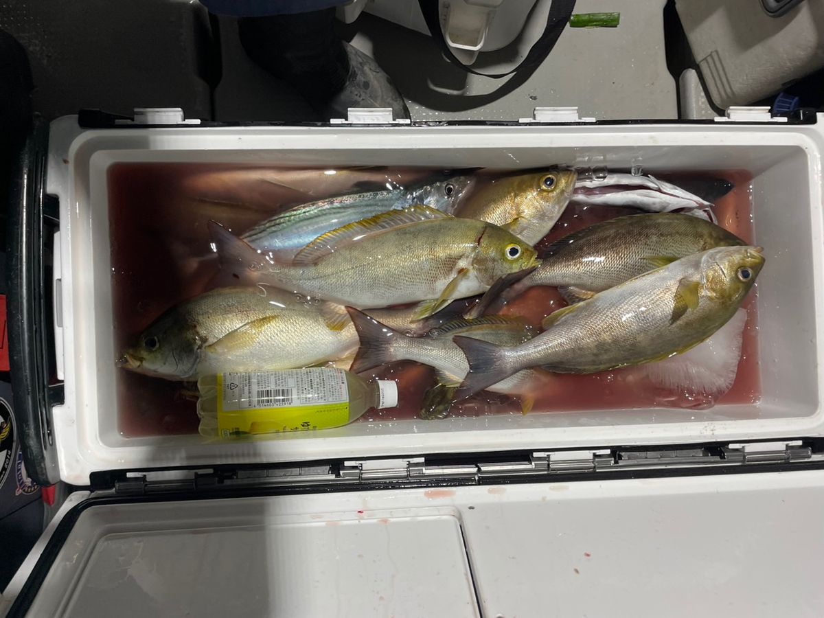 田畑良朗@なつき丸さんの釣果 2枚目の画像