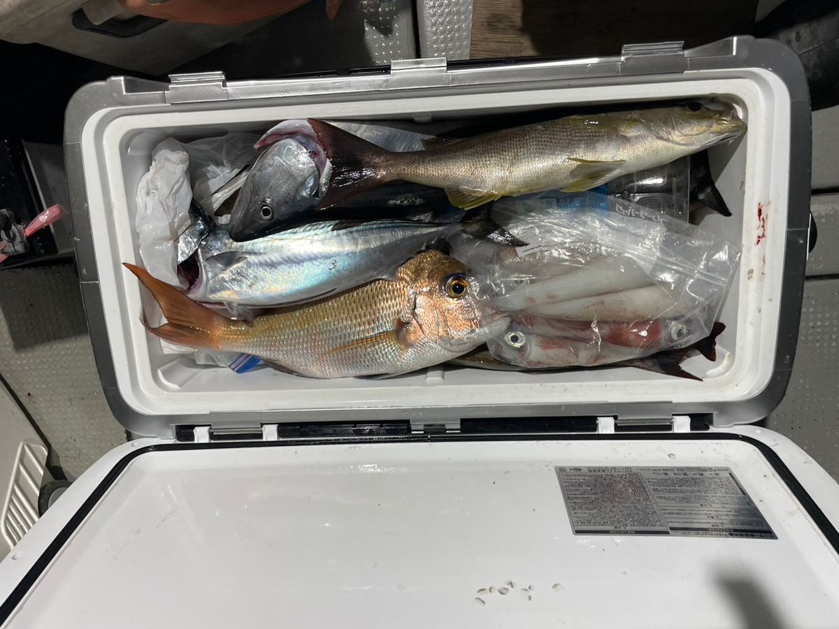 田畑良朗@なつき丸さんの釣果 3枚目の画像