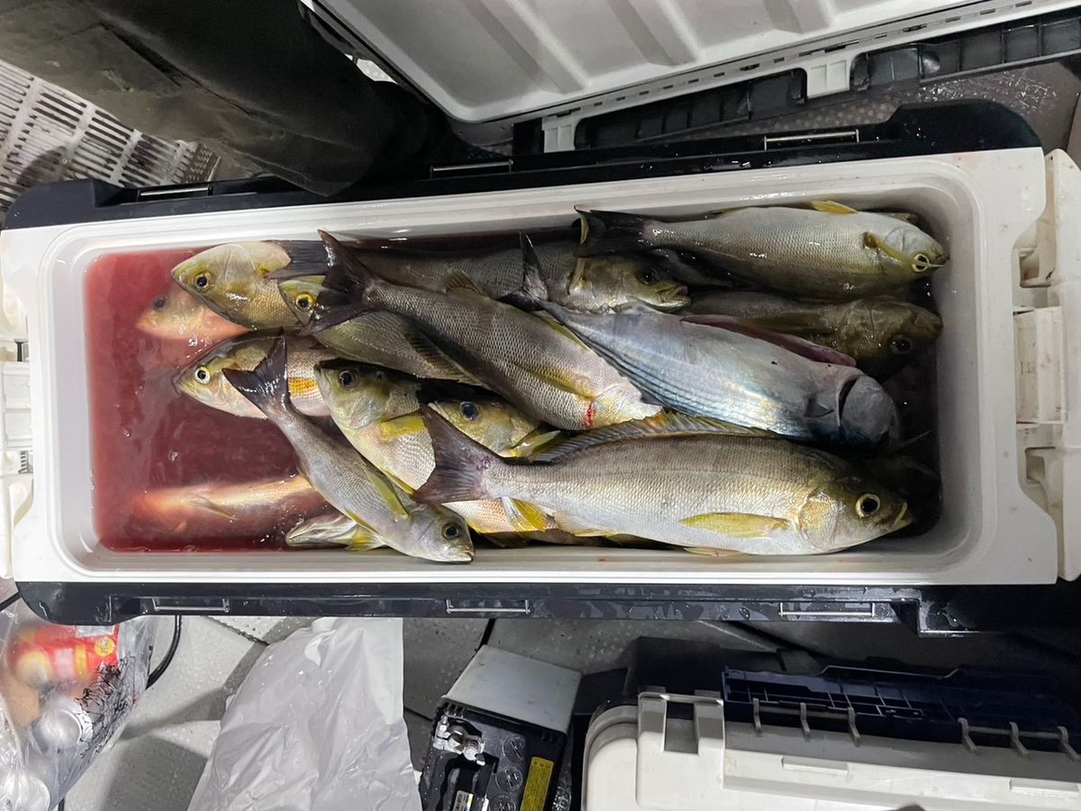 田畑良朗@なつき丸さんの釣果 2枚目の画像