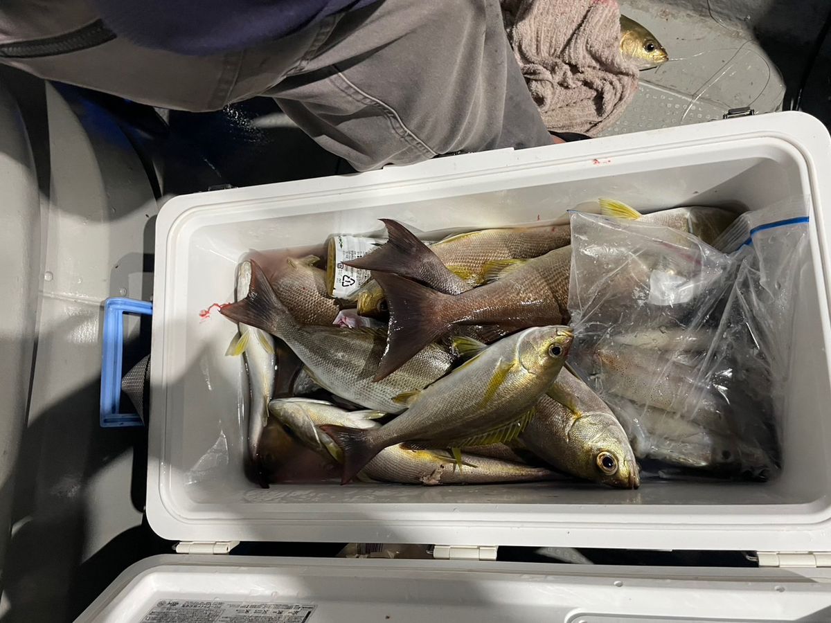 田畑良朗@なつき丸さんの釣果 3枚目の画像