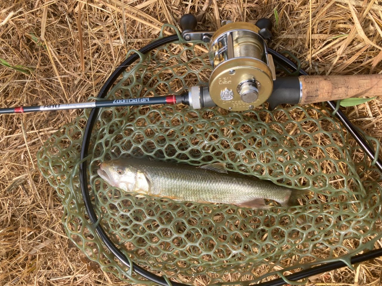 AbuGarcia ズームサファリ ZMSC-565Lの最安値・インプレ・釣果