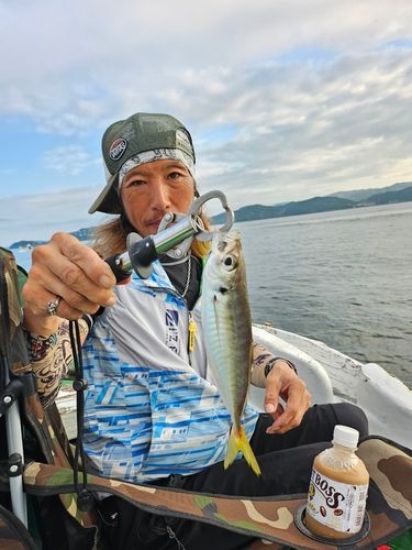 チダイの釣果