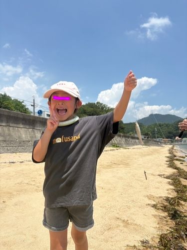 キスの釣果