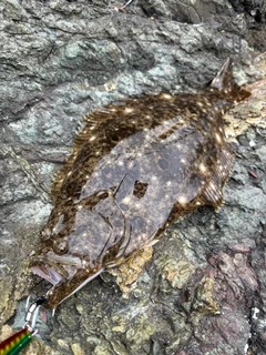 釣果