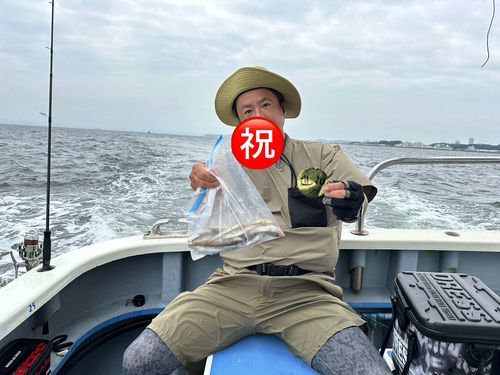 シロギスの釣果