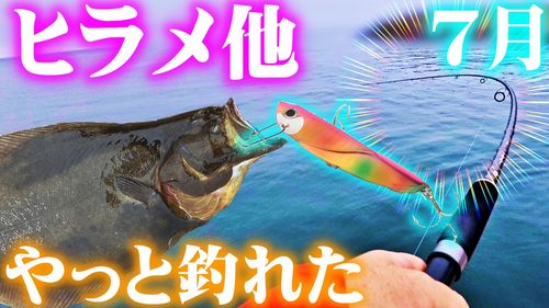 ヒラメの釣果